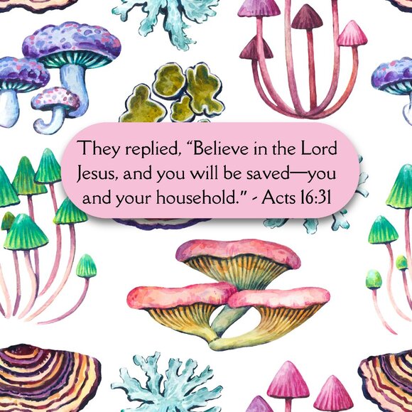 My Book: BLESSED ASSURANCE! HIS PROMISES ARE MINE! - Picture 10 of 12